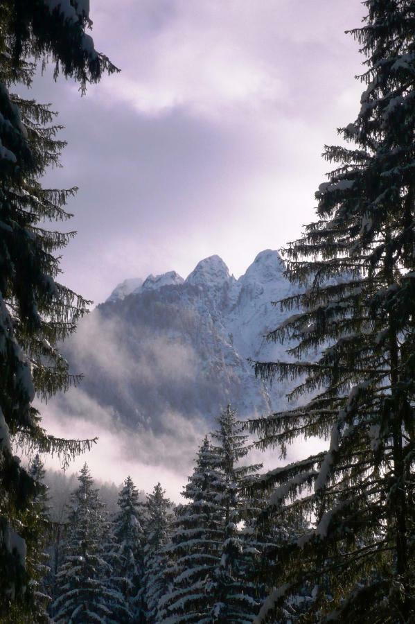 Mountain Loft Vila Tarvisio Exterior foto
